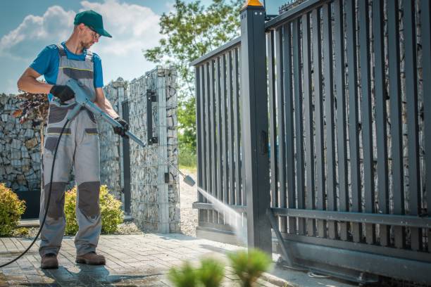 Best Roof Washing  in Afton, MN